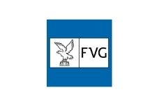 logo Regione Fvg