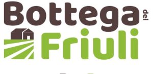BDF - logo ufficiale - pantone