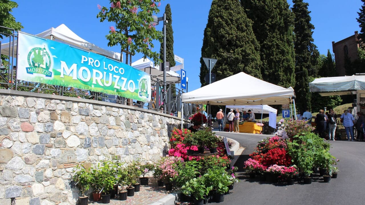 L'immagine raffigura una vivace Festa di Primavera nel comune di Moruzzo, organizzata dalla Pro Loco locale.